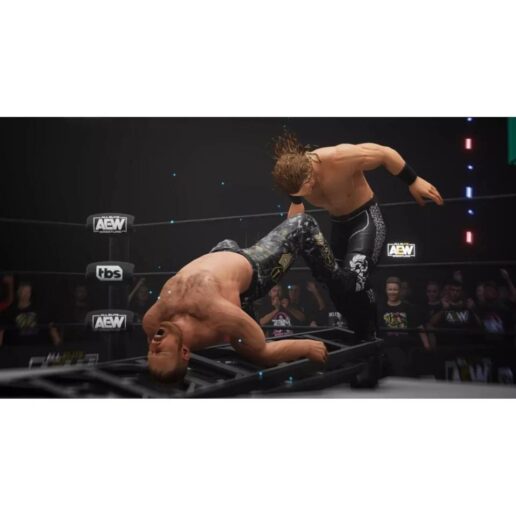 AEW Fight Forever Playstation 5