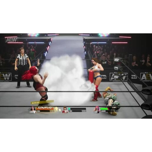 AEW Fight Forever Playstation 5