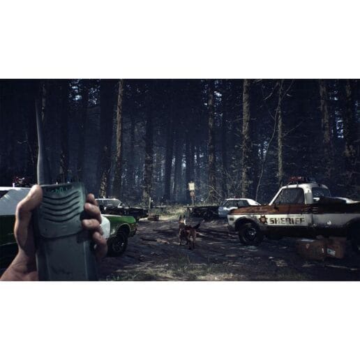 Blair Witch Playstation 4