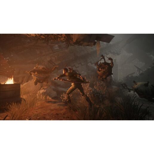 Remnant From the Ashes Playstation 4