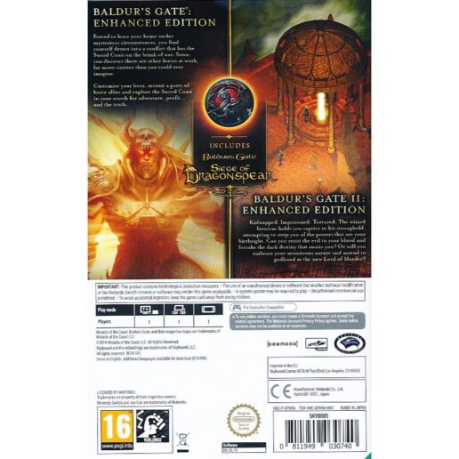 Baldurs Gate & Baldurs Gate II Enhanced Editions Nintendo Switch