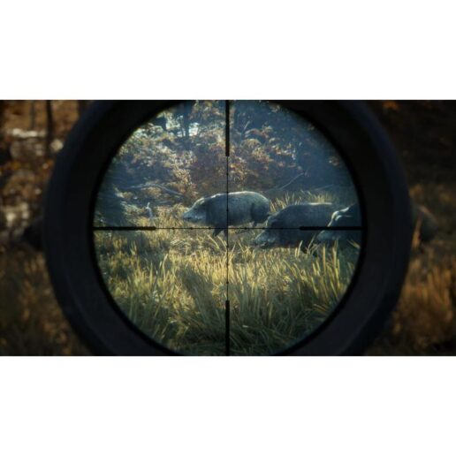 The Hunter Call of the Wild 2019 Edition Playstation 4
