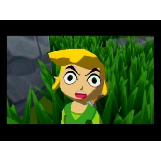 The Legend of Zelda Collectors Edition Nintendo Gamecube (Begagnad)