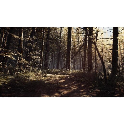 Blair Witch Playstation 4