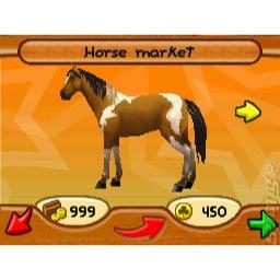 Imagine Champion Rider Nintendo DS (Begagnad)