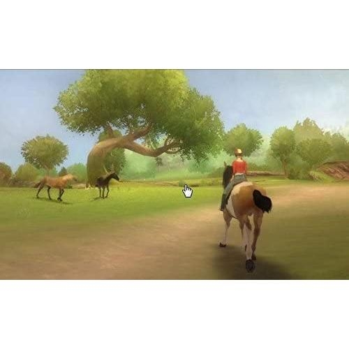Imagine Champion Rider Nintendo DS (Begagnad)