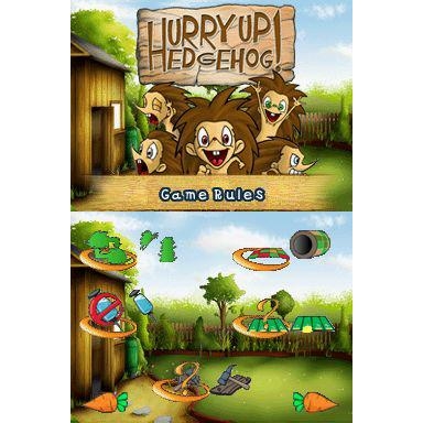 Hurry Up Hedgehog Nintendo DS (Begagnad)