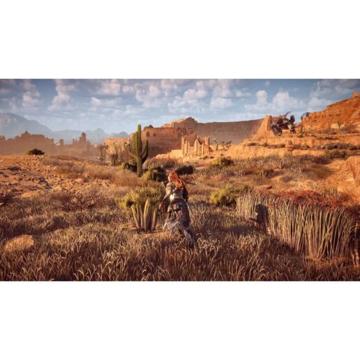 Horizon Zero Dawn Playstation 4 PS4 Nordic (Begagnad)