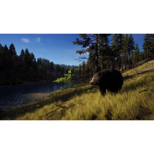 Way of the Hunter Xbox Series X