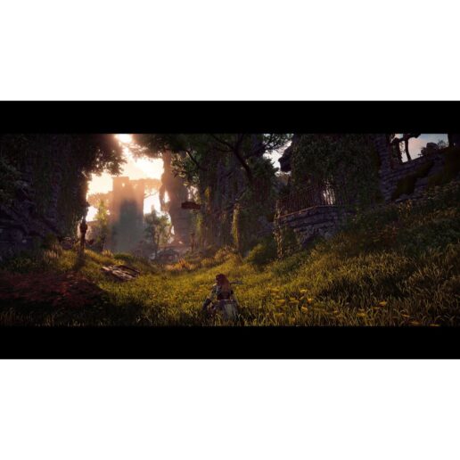 Horizon Zero Dawn Complete Edition Playstation 4