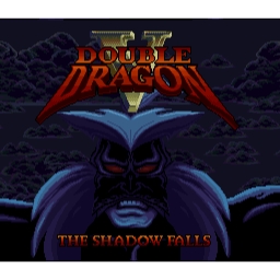 Double Dragon V The Shadow Falls Super Nintendo SNES EUR (Begagnad)