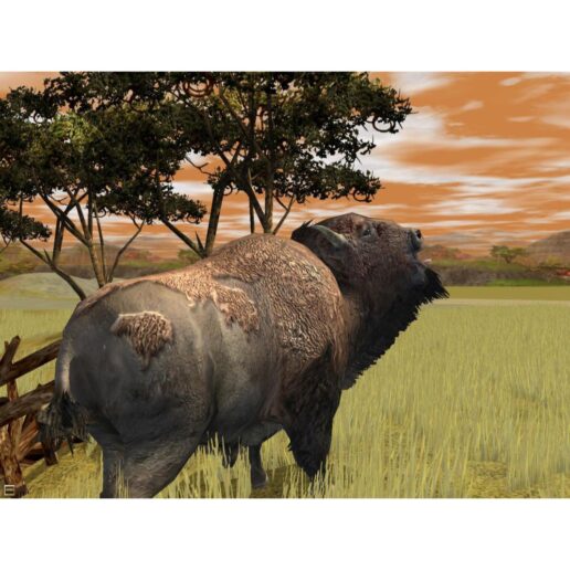 Wildlife Park 2 PC DVD Gold Edition (Begagnad)