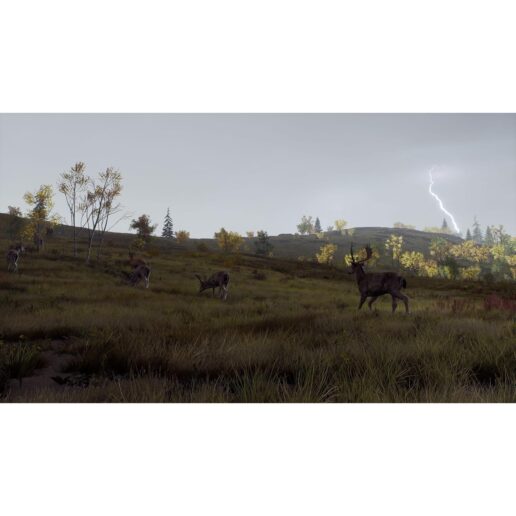 Way of the Hunter Wild Expeditions Playstation 5 PS5