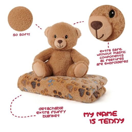 Teddy Bear Soft blanket + Gosedjur 22cm