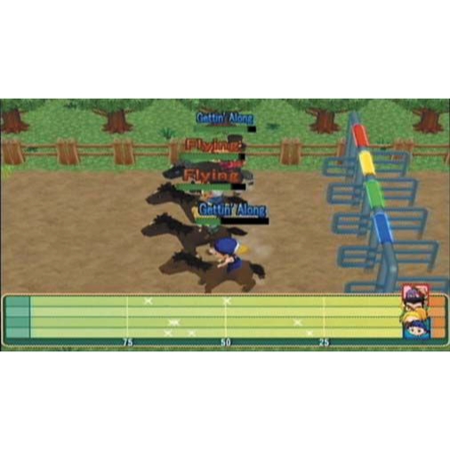 Harvest Moon Magical Melody Nintendo Wii (Begagnad)