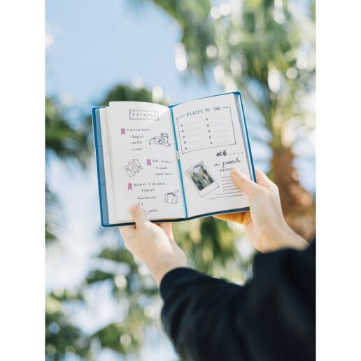 Disney Alice in Wonderland travel notebook