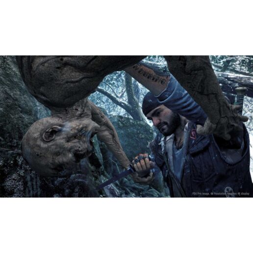 Days Gone Playstation 4 PS4 Nordic (Begagnad)