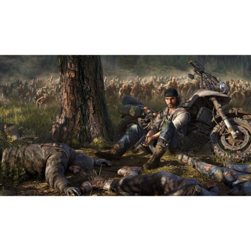 Days Gone Playstation 4 PS4 Nordic (Begagnad)