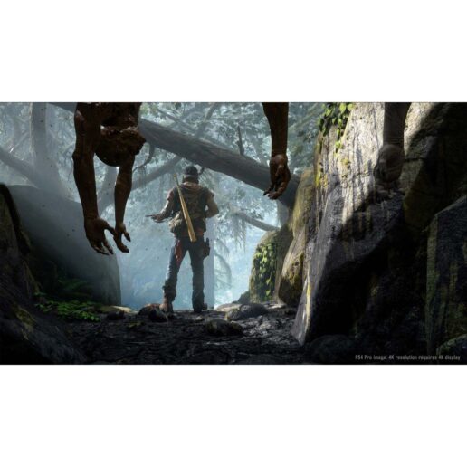 Days Gone Playstation 4 PS4 Nordic (Begagnad)