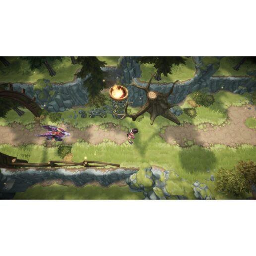 Dragons Dawn of the New Riders Playstation 4