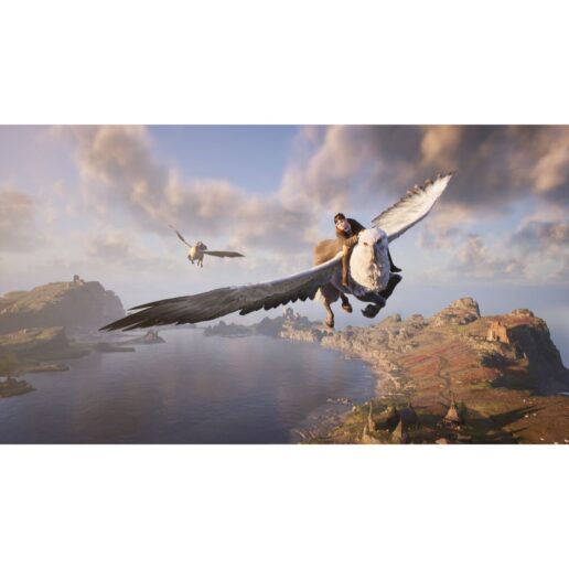 Hogwarts Legacy Playstation 4 PS4