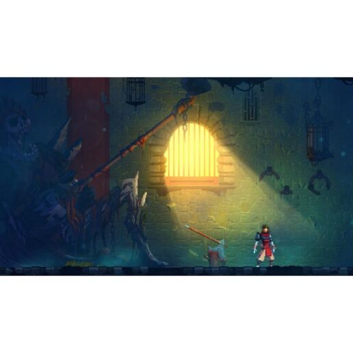 Dead Cells Action Game of the Year Edition Playstation 4 PS4