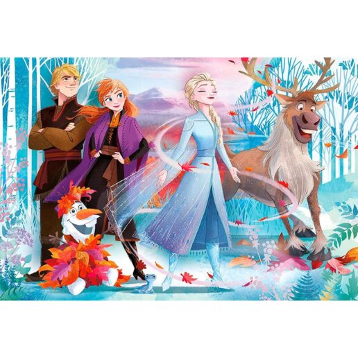 Disney Frozen 2 Maxi puzzle 24pcs