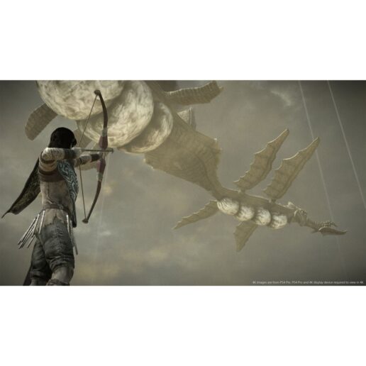 Shadow of the Colossus Playstation 4 PS4 (Begagnad)
