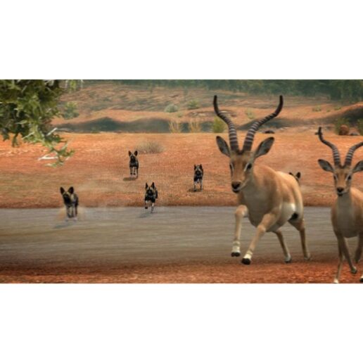 Afrika Playstation 3 PS3 IMPORT (Begagnad)