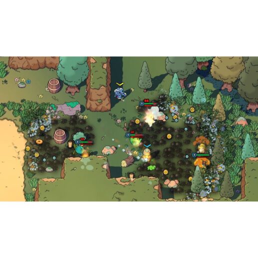 The Swords of Ditto 2025 Edition Nintendo Switch IMPORT