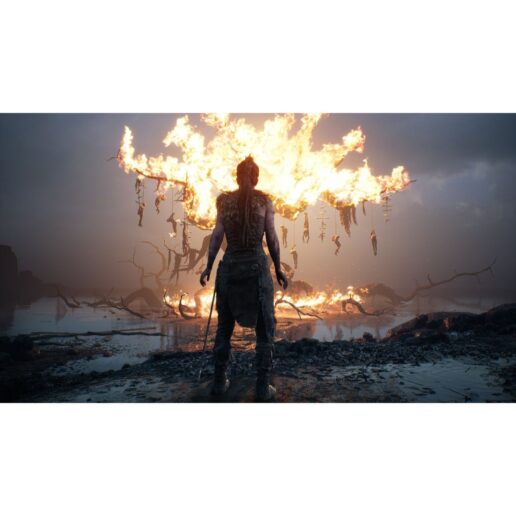Hellblade Senuas Sacrifice Playstation 4 PS4 (Begagnad)