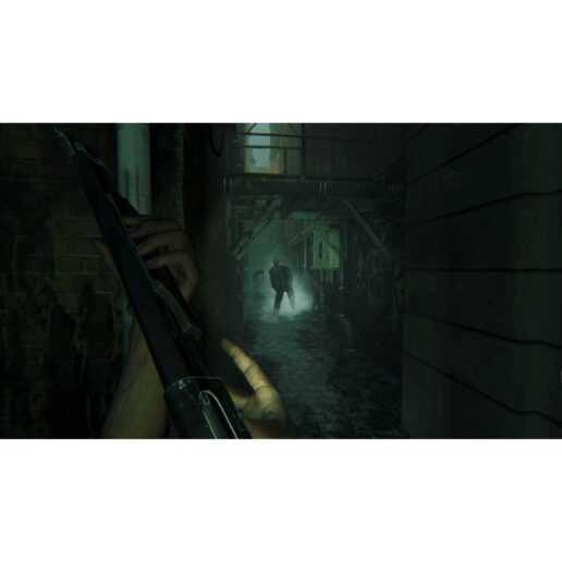 Zombi Playstation 4 PS4