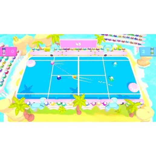 Pool Party Nintendo Switch (Code in a box)