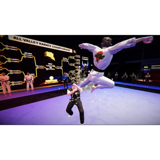 Cobra Kai 2 Dojos Rising Playstation 4 PS4