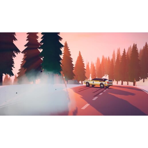 Art of Rally Deluxe Edition Nintendo Switch