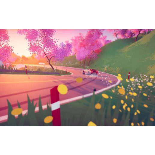 Art of Rally Deluxe Edition Nintendo Switch
