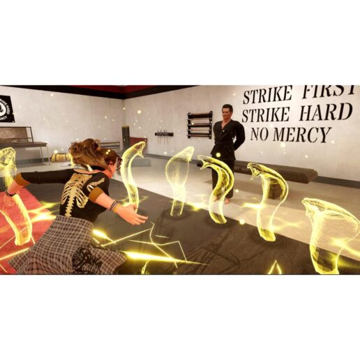 Cobra Kai 2 Dojos Rising Playstation 4 PS4