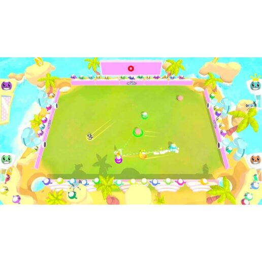 Pool Party Nintendo Switch (Code in a box)