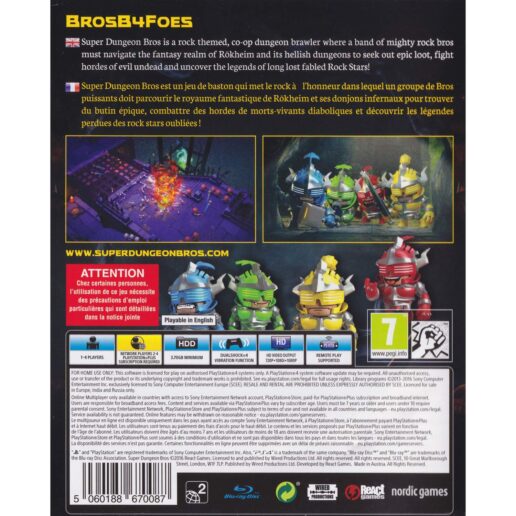 Super Dungeon Bros Playstation 4 PS4