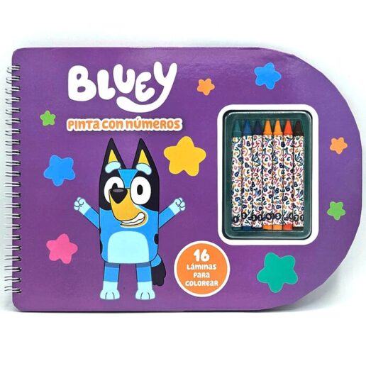 Bluey paint with numbers notebook
