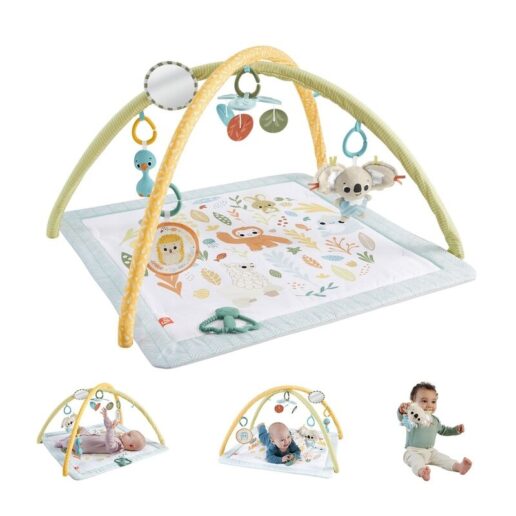 Animal Gymnasium