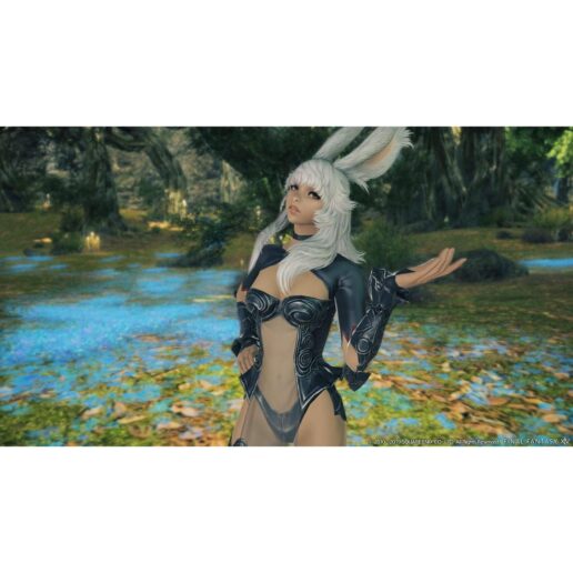 Final Fantasy XIV Shadowbringers Playstation 4