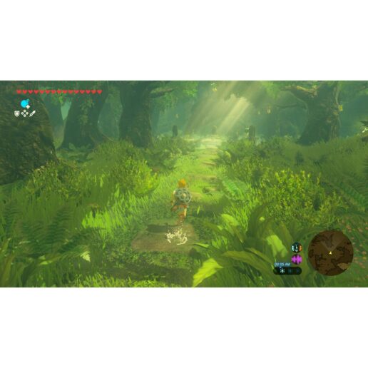 The Legend of Zelda Breath of the Wild Nintendo Switch 2 Nordic