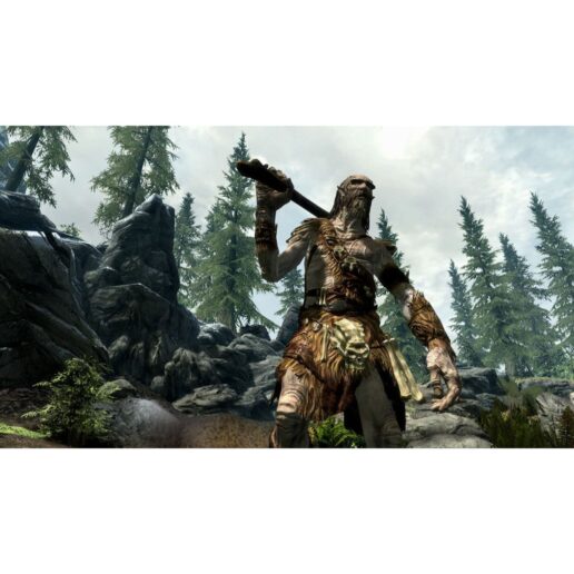 The Elder Scrolls V Skyrim PC DVD (Begagnad)