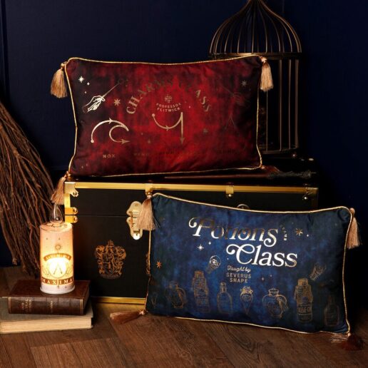 Harry Potter Charms Class velvet cushion