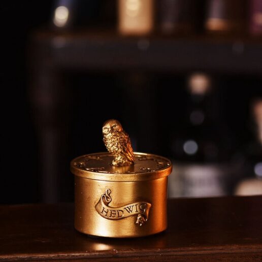 Harry Potter Hedwig trinket box