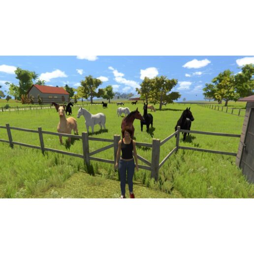 My Little Riding Champion Playstation 4 PS4