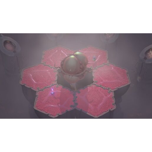 Cocoon Nintendo Switch IMPORT