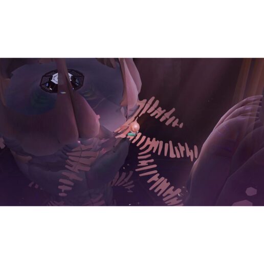 Cocoon Nintendo Switch IMPORT