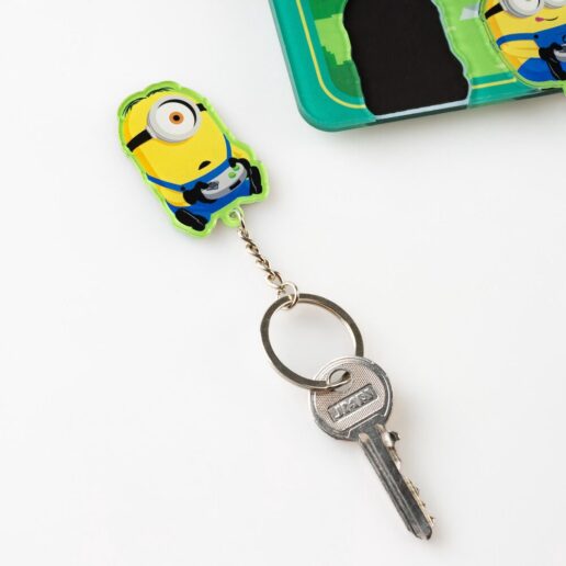 Minions key hanger with keyring